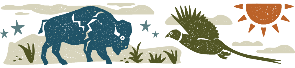 Graphic of stylized buffalo, pheasant and sun